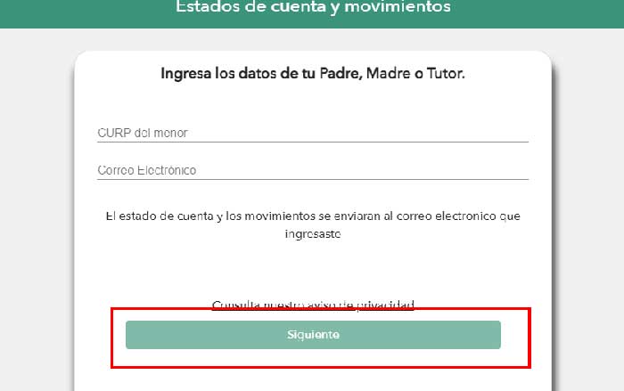 PASO 4 PARA CONSULTAR SALDO
