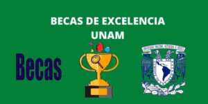 BECAS DE EXCELENCIA UNAM